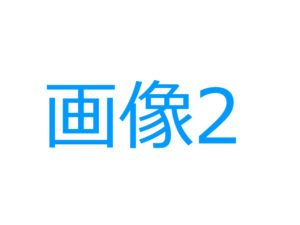 画像のサンプル